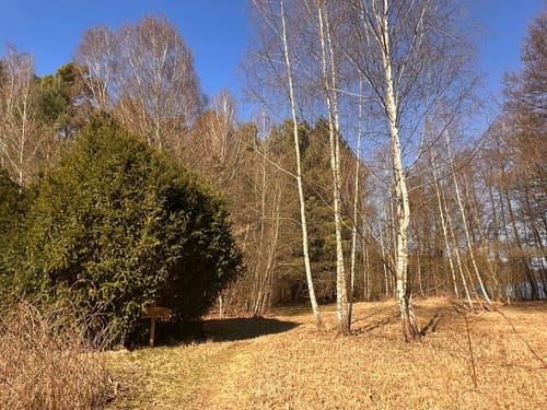 Um den Großen Zeschsee und den Kleinen Zeschsee