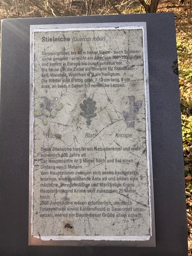 Um den Großen Zeschsee und den Kleinen Zeschsee