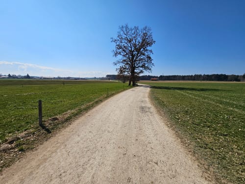 Jasberg-Runde ab Otterfing