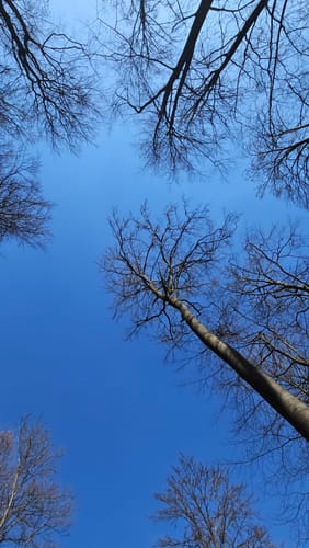 Aus Paradies zum Großen Knollen