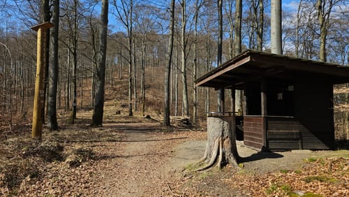 Aus Paradies zum Großen Knollen