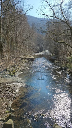 Aus Paradies zum Großen Knollen