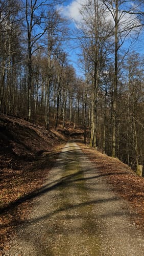 Aus Paradies zum Großen Knollen