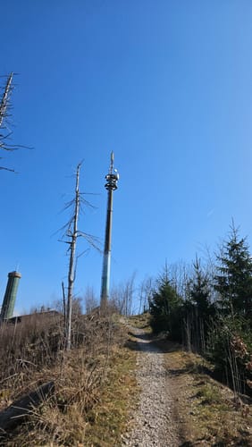 Aus Paradies zum Großen Knollen