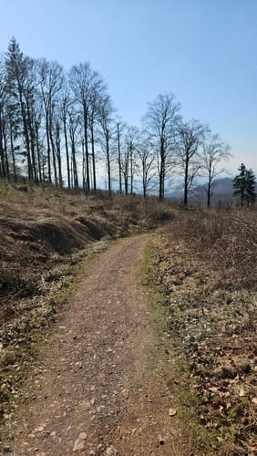 Aus Paradies zum Großen Knollen