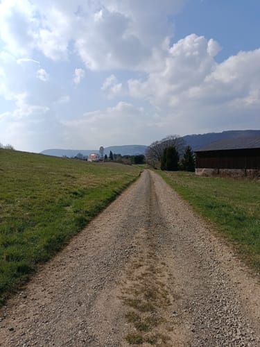 Westpfalz-Wanderweg Rotes W (Musikantenland-Wanderweg)