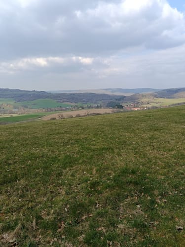 Westpfalz-Wanderweg Rotes W (Musikantenland-Wanderweg)