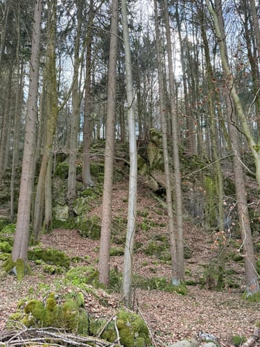 Rund um Velburg