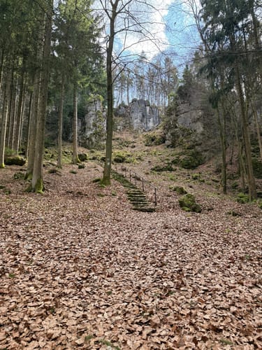 Rund um Velburg