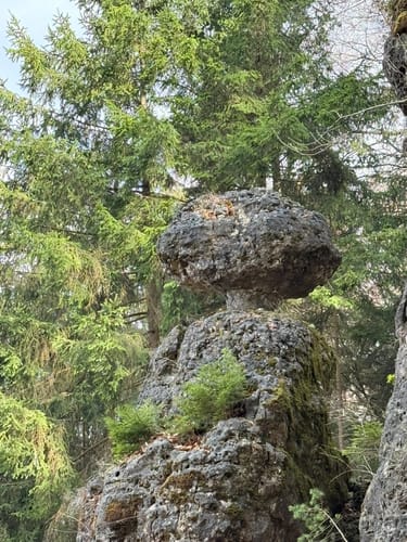 Rund um Velburg