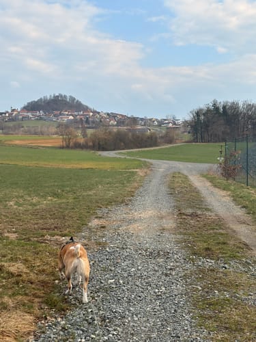 Parkstein Ringweg 7