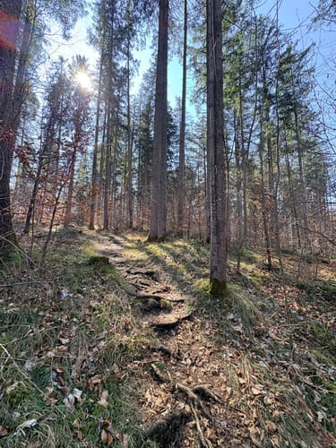 Großer Ostersee-Rundweg