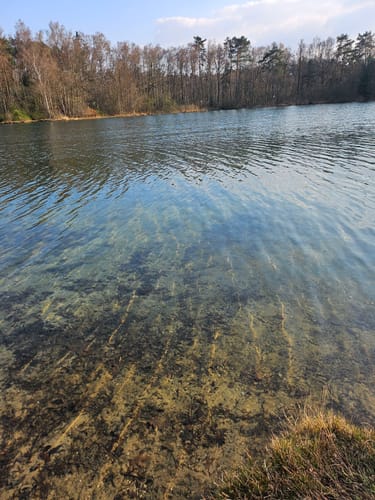 Venekotensee