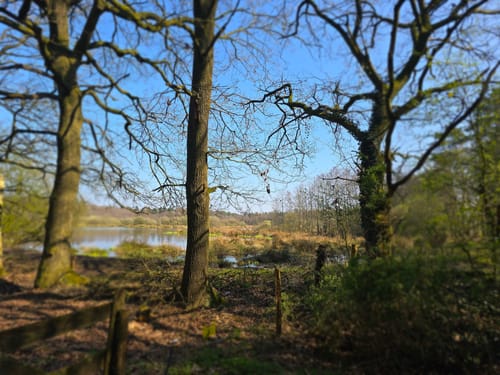 Witte Veen 3 (Ahaus Nr. 14)