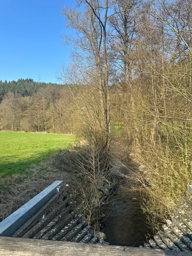 Wasserburg Loop from Reipoltskirchen