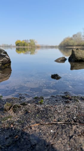 Rund um den Zülpicher See