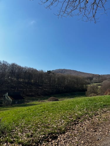 Vier-Berge-Tour (Traumpfad)