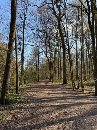 Rund um den Jacobiweiher