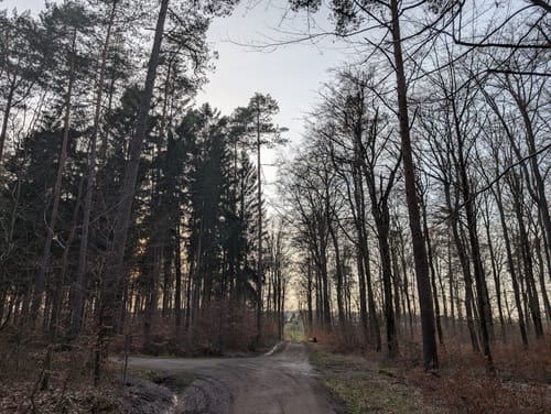 Runde in Speicher