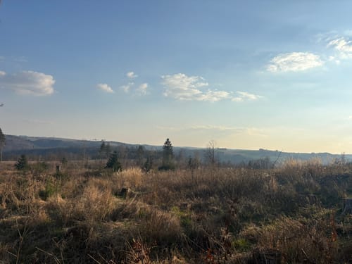 Ziegenrück: an der Saale zum Lasterberg