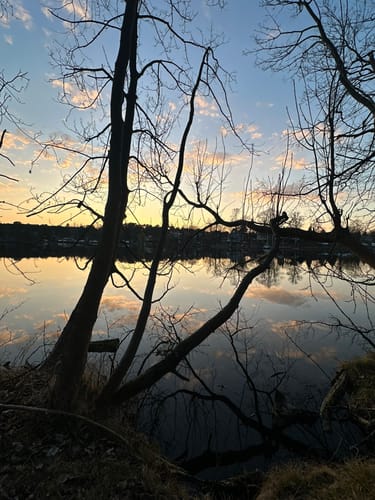 Müggelheim Uferweg und Windecke