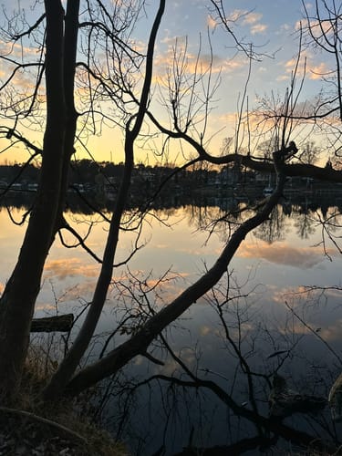 Müggelheim Uferweg und Windecke