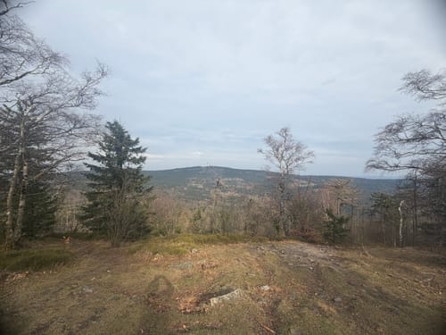 Falkenstein - Altkönig - Fuchstanz - Reichenbach