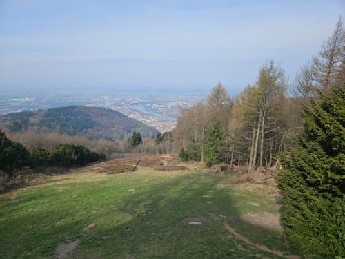 Rund um den Königstuhl ab Heidelberger Schloss