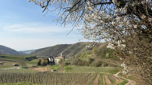 Altvogtsburg Rundweg