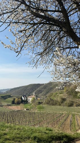 Altvogtsburg Rundweg