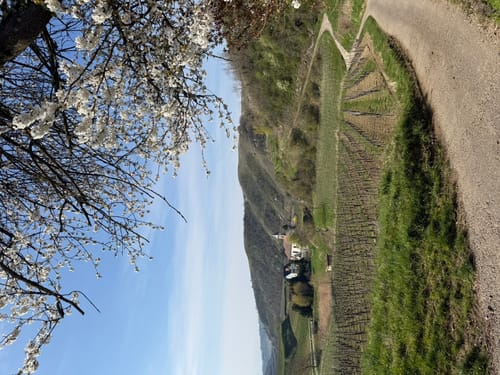 Altvogtsburg Rundweg