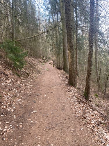 Ramberg: 3-Burgen-Runde