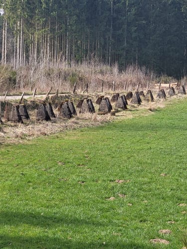 EifelSpur Westwall