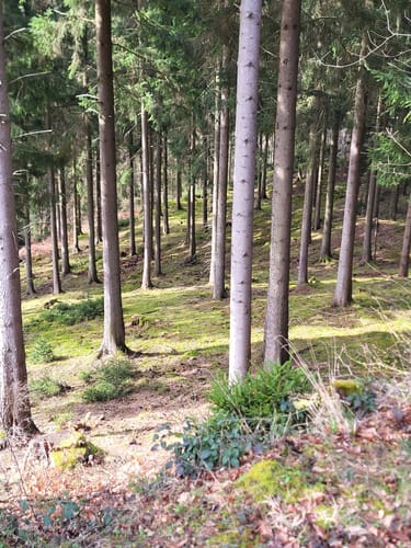 Großhau-Hürtgenwald