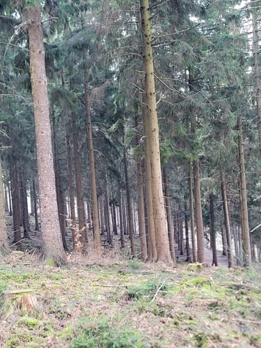 Großhau-Hürtgenwald
