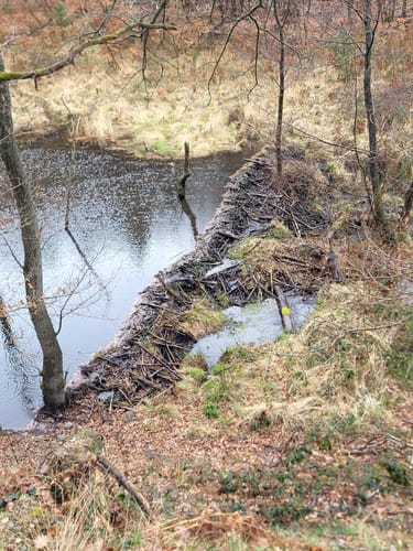 Großhau-Hürtgenwald