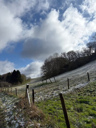 EifelSchleife Milchweg