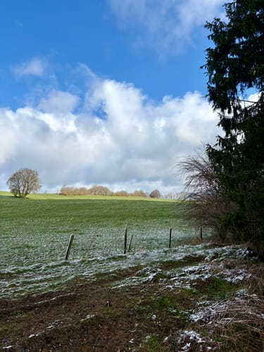 EifelSchleife Milchweg