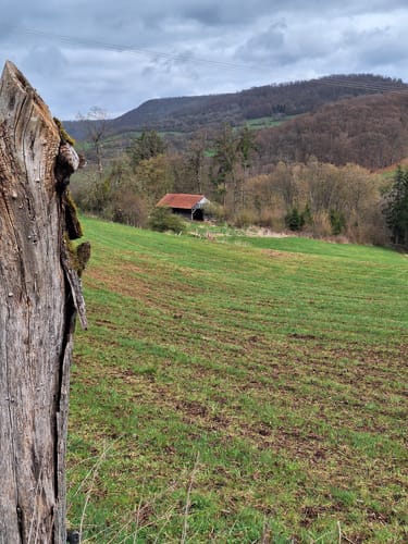Schwarzenfels - Rundweg Hopfenberg