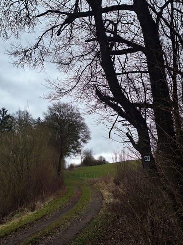 Schwarzenfels - Rundweg Hopfenberg