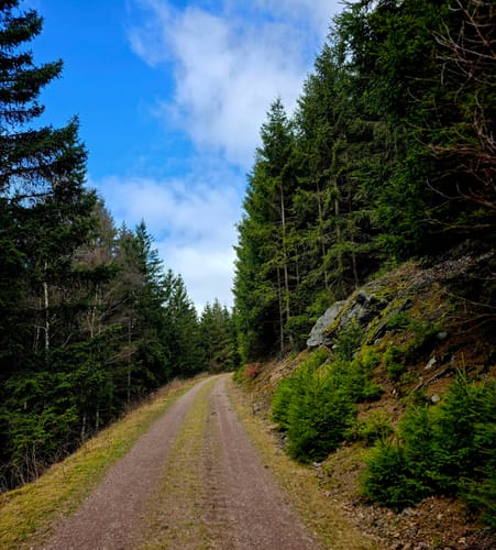 Vorderer und Hinterer Möstfelsen