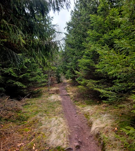 Vorderer und Hinterer Möstfelsen