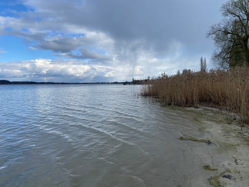 Reichenau Rundweg