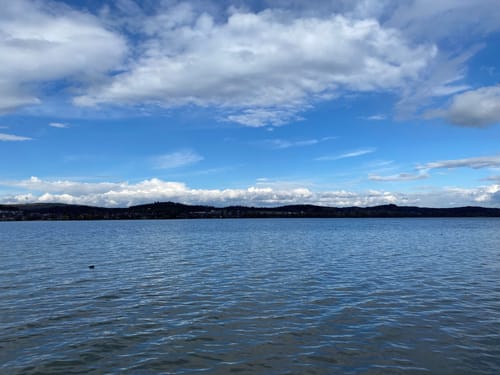 Reichenau Rundweg