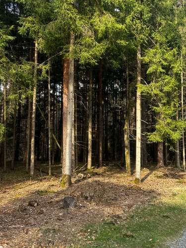 Heimatkundlicher Wanderweg Hövelhofer Wald