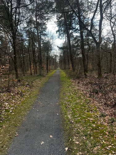 Heimatkundlicher Wanderweg Hövelhofer Wald