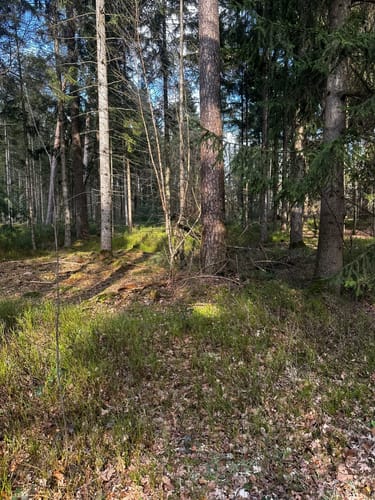 Heimatkundlicher Wanderweg Hövelhofer Wald