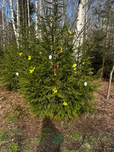 Heimatkundlicher Wanderweg Hövelhofer Wald