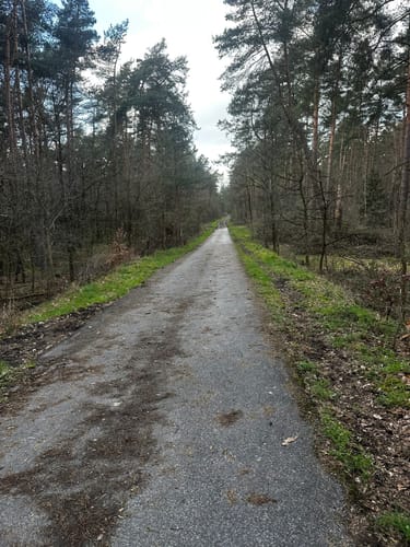 Heimatkundlicher Wanderweg Hövelhofer Wald