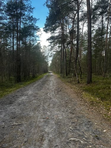 Heimatkundlicher Wanderweg Hövelhofer Wald